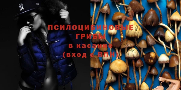 mdpv Арсеньев