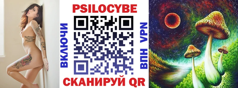 Галлюциногенные грибы Psilocybe  закладки  Байкальск 